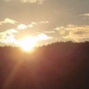 농심퇴비 이미지