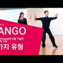 Tango Chase 후행휘겨 3가지 유형 이미지