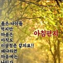 숲을 이루는 작은 씨앗 이미지