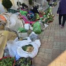 돌산한의원 이미지