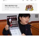 민주당, 명태균 &#34;홍준표 복당 위해 김종인 설득&#34; 주장 녹취록 공개 이미지