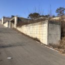 예스현대공인중개사사무소 이미지