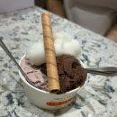 지파시갤러리아