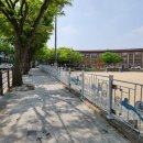 이리영등초등학교 이미지