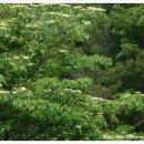 처용공업사 이미지