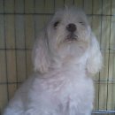 21세기종합동물병원 이미지