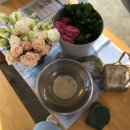 복재선생집 | 화훼 기능사 실기 준비 과정/경상대학교 파이토리아 동아리/화훼 기능사 수업