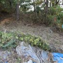 돌산보건지소 이미지