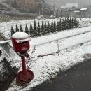 새숙골 당근집 | 양평 여행일기 촌캉스 에어비앤비(새숙골 당근집) 정겨운 사장님 바베큐🍖&amp;불멍🔥