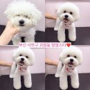 하단동174 이미지