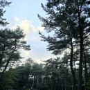 붉은오름자연휴양림 : 억새꽃실 후기
