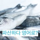 이옷사촌