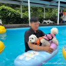 양양 발렌타인 애견펜션 이미지