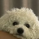 광주약국 이미지