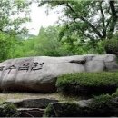 초막산림 이미지
