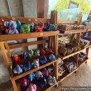 바로 farm | 치앙마이여행 필수 코스 엘리핀 팜 코끼리 카페 Elefin Farm & Cafe후기