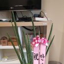 서부지사(교촌치킨)