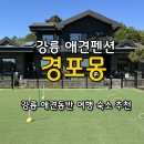 CU 강릉블루비치점 | 강릉애견펜션 [경포몽애견펜션] 경포몽 내돈내산 숙박 후기