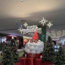 플로라제이 | [은방울 부케] 제이스플로라 체험단 후기(제이웨딩 추천인 : 97예신)