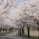 청양향교공자상 | [충청남도 청양군] 농부마켓 &amp; 농부밥상