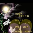 사월초등학교 이미지