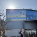 미정이네 | 서해 가볼만한곳 미정이네 횟집 | 애견동반 가능한 서해랑 제부도해상케이블카 후기