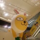 파알유통 이미지