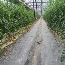 은진농장 이미지