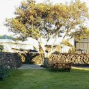 비자숲민박 이미지