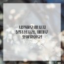 마사지이야기