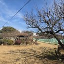 빛그린산단공인중개사사무소 이미지