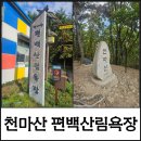 편백숲 | 【울산북구가을산행】피톤치드 가득! 힐링코스 천마산 편백숲 등산후기