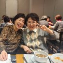 신라스테이 삼성 Daum카페