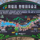 제천 의림지 치유숲길을 트레킹해 보며~~~ 이미지