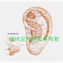 경테라피