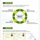 승마랜드 이미지