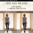 뉴데이필라테스 | 금천동 필라테스 임산부 수업 후기 [뉴데이필라테스]