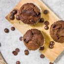 타임즈 동물의료센터 이미지