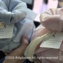 호월당 | 상견례 첫인사 선물 추천 : 호월당 바람떡 내돈내산 후기