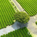 서광리-26 이미지