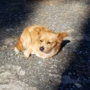 신세계 리조트 이미지