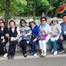 선유동