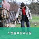 늘푸른요양원 이미지