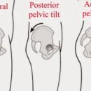 좌우대칭, 매트 필라테스 이미지