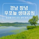 우포늪생태공원 | 🍃 경남 창녕 우포늪 생태공원 여행 완벽 가이드｜국내 최대 자연습지에서 만나는 생명의 노래 🌿
