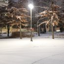 늘푸른공원4 이미지