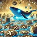 (주)에프티씨홀딩스 | 25.10.24. 코인뉴스 - 트럼프 대통령 창펑자오 사면 결정, 오늘, 10월 24일 21:30 CPI 발표, 네이버...