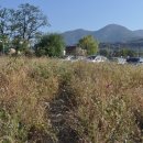 동두천역 이미지