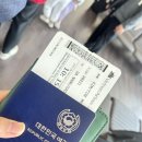 골든미코 | 다낭 가족 여행 후기|부모님과 함께하는 4박5일 일정, 식당, 관광지 추천