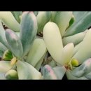 해림농장 이미지